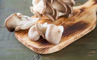 Грибной суп из вешенок рецепт с фото